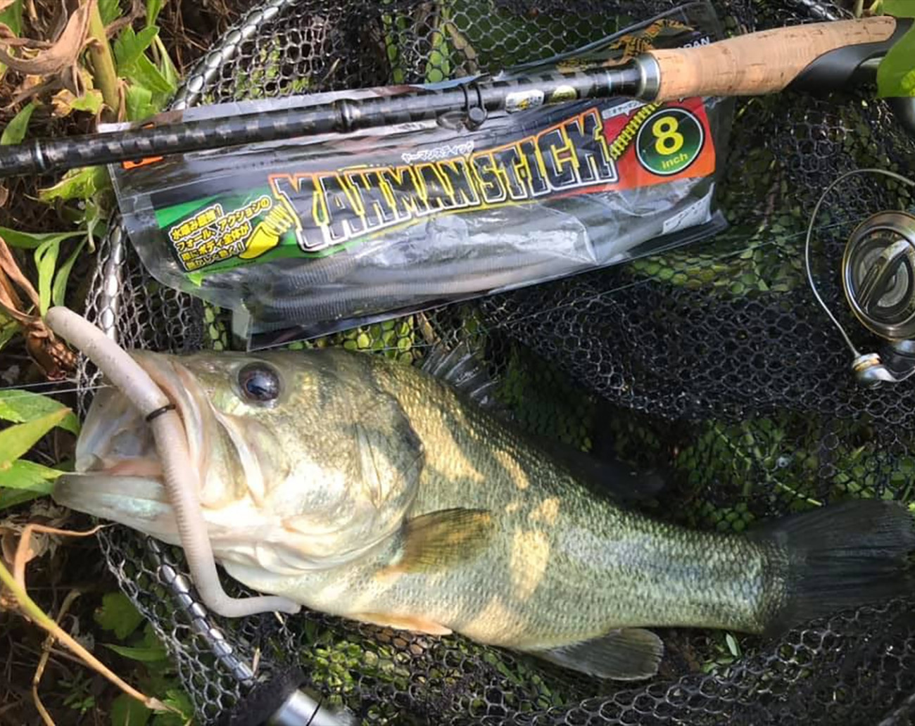 Geecrack Yahman Stick 6´- 15 cm